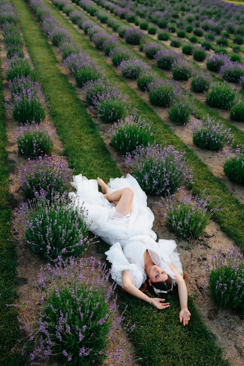 High-Angle Shot of a Woman in White Dress Lying on Flower Field