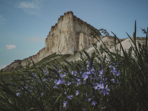 フラワーズ, 岩石層, 絶景の無料の写真素材