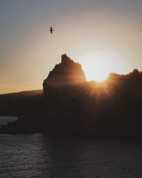 Silhouette of Bird Flying over the Mountain