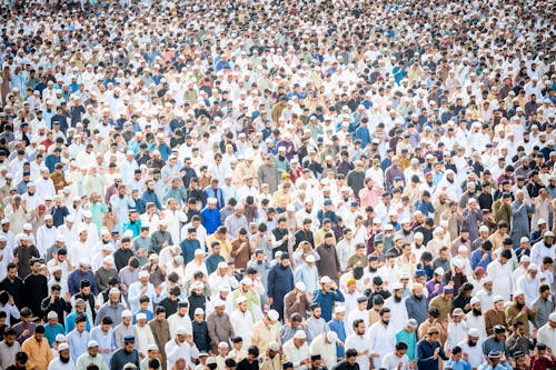 군중, 기도, 무슬림의 무료 스톡 사진