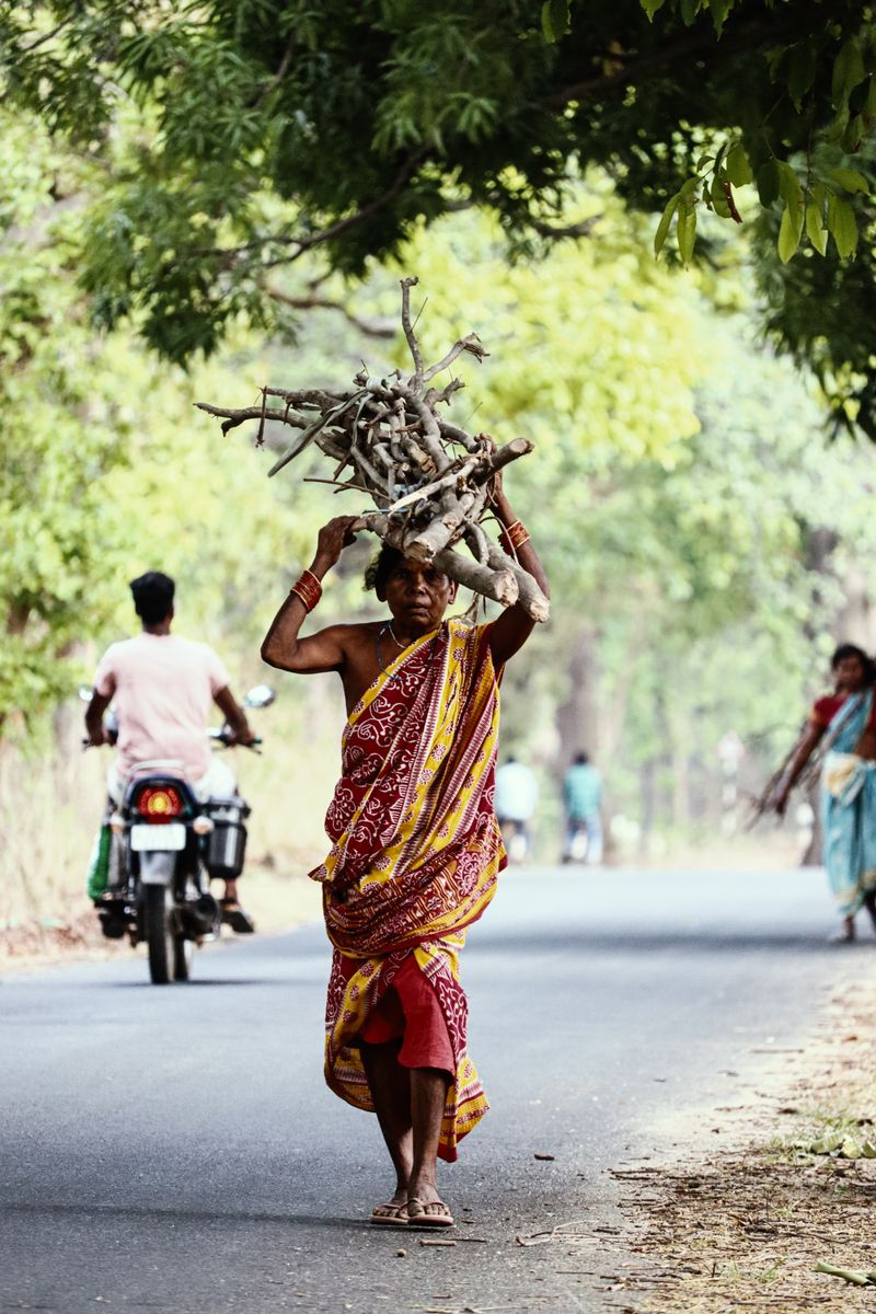 Firewood Collector skill test Delhi