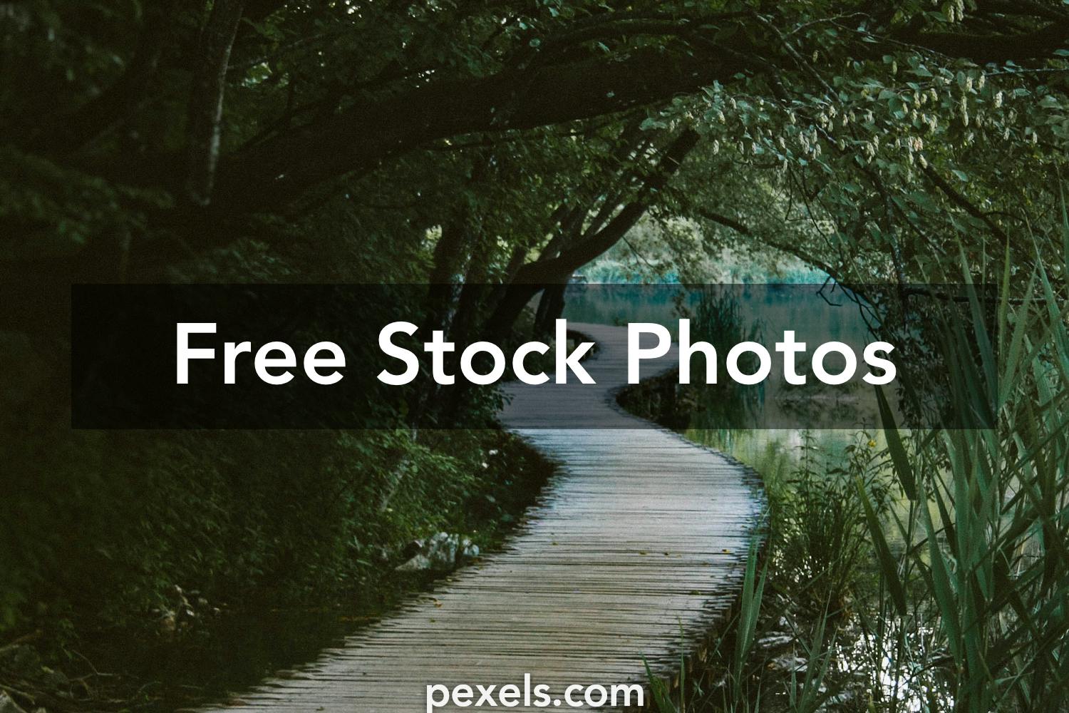 1000+ Great Path Photos · Pexels · Free Stock Photos