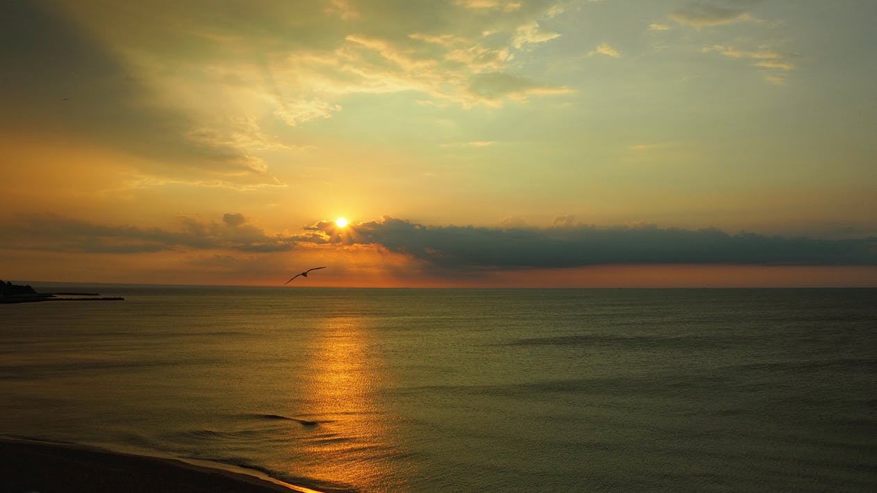 Ocean during Sunrise