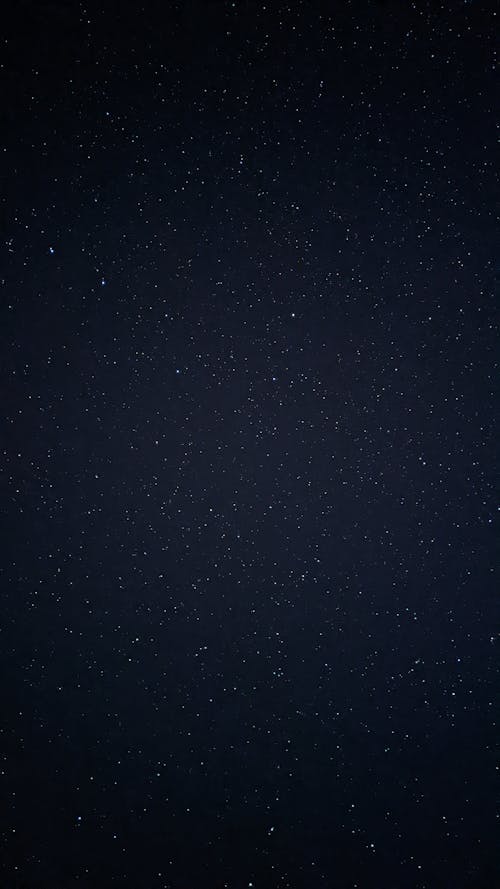 Stars in the Night Sky