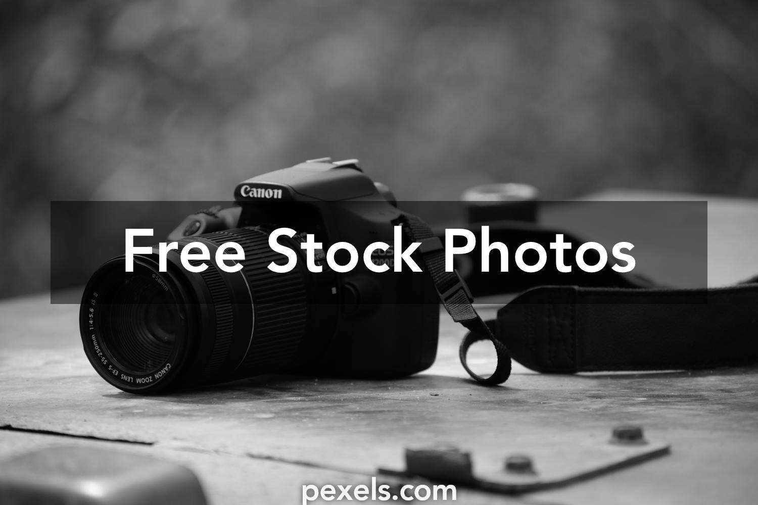 my old camera 3, Free stock photos - Rgbstock - Free stock images, lusi