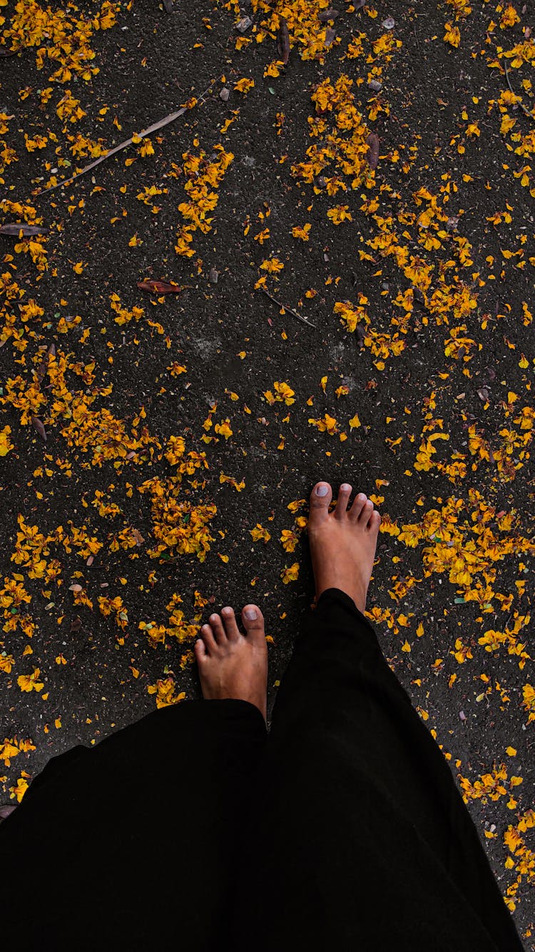 Person Barefoot In Autumn