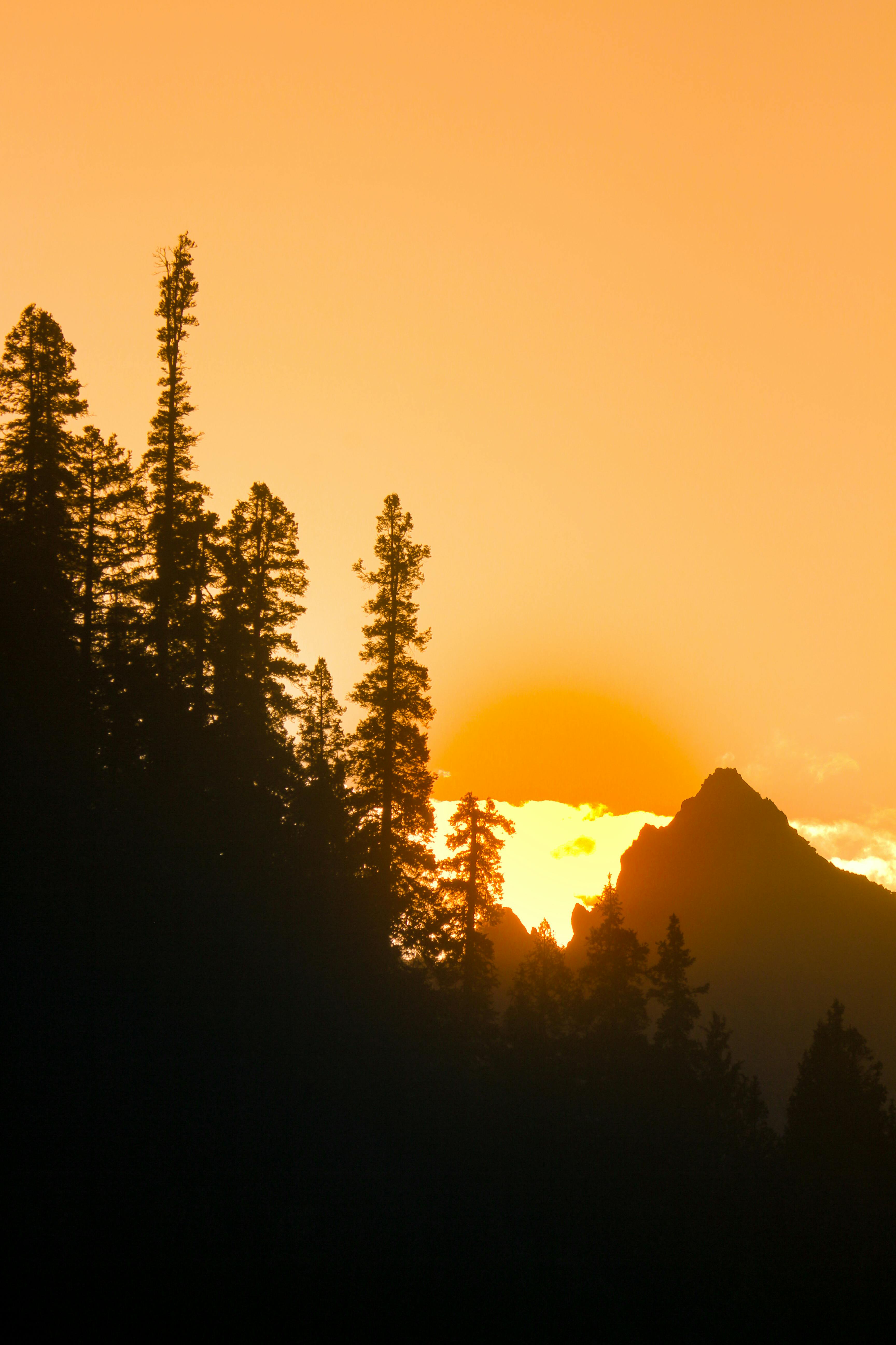 Tennis stadium lit up for a night exhibition match