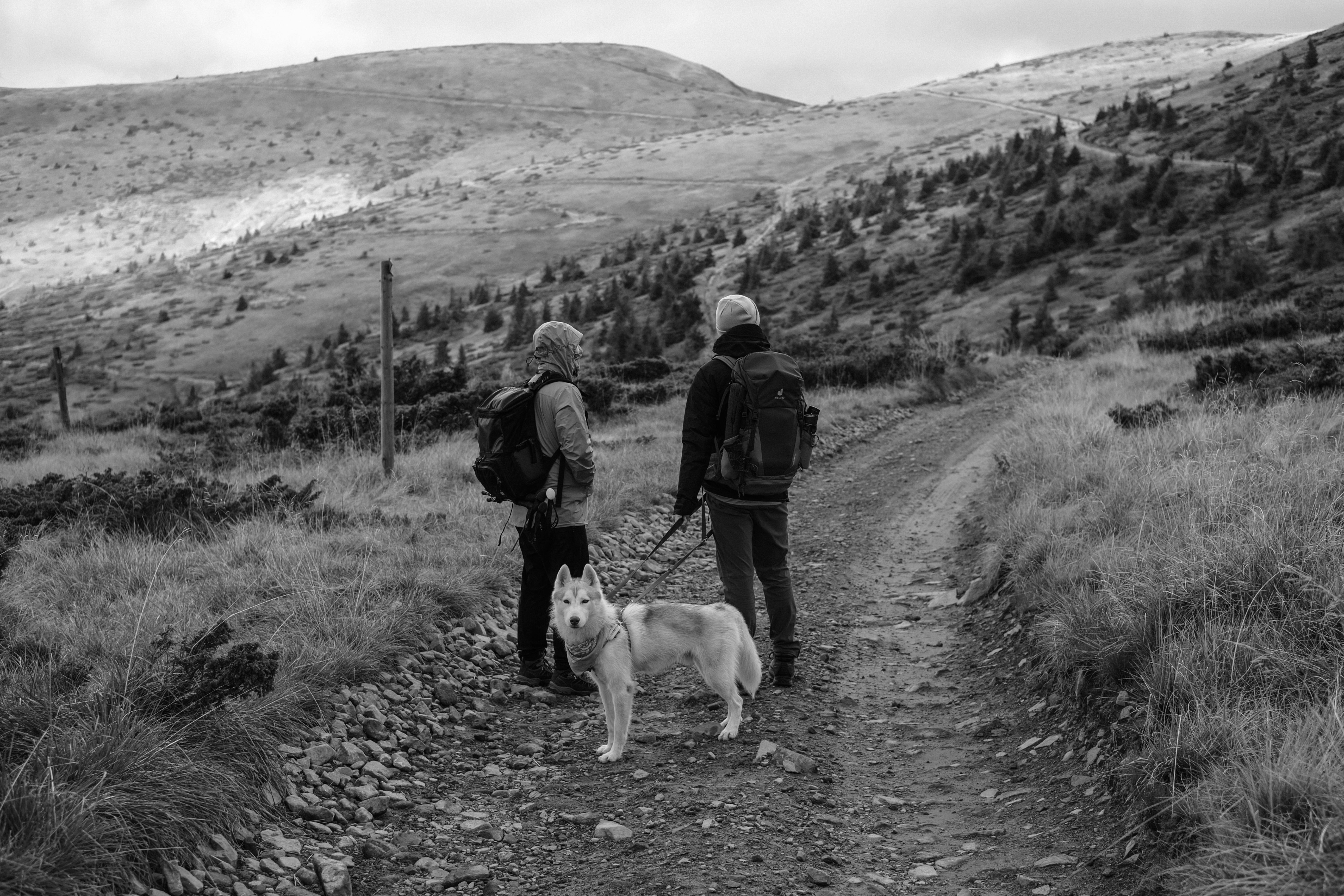 Black and white photo of a couple hiking with their dog in the scenic mountains of Lviv, Ukraine.