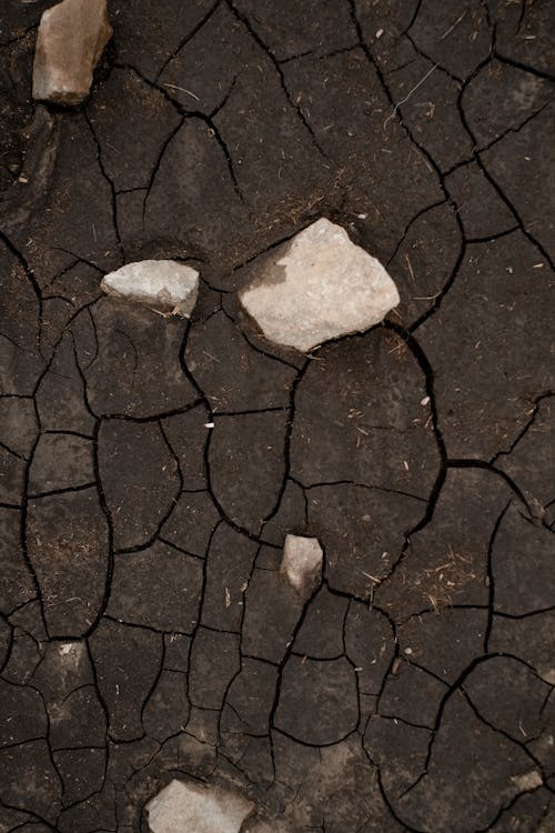 Top View of Cracked Ground