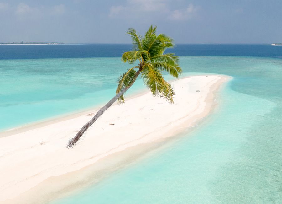 Serene tropical island in the Maldives with turquoise waters and a lone palm tree.