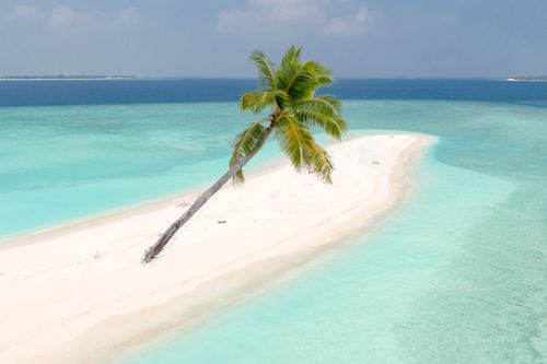 Free Serene tropical island in the Maldives with turquoise waters and a lone palm tree. Stock Photo