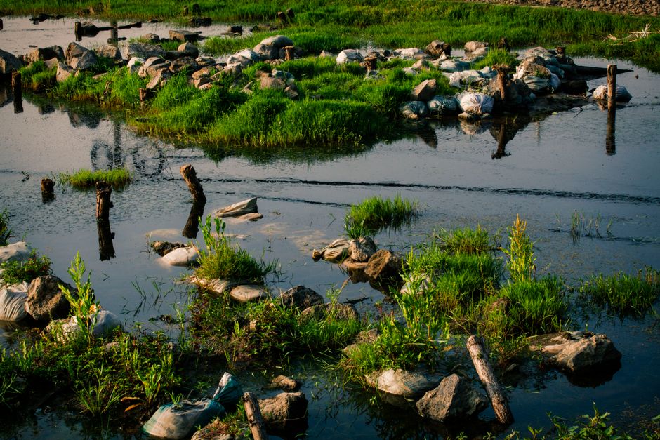 Peaceful wetland landscape featuring rocks and lush grass at sunset, ideal for nature backgrounds.
