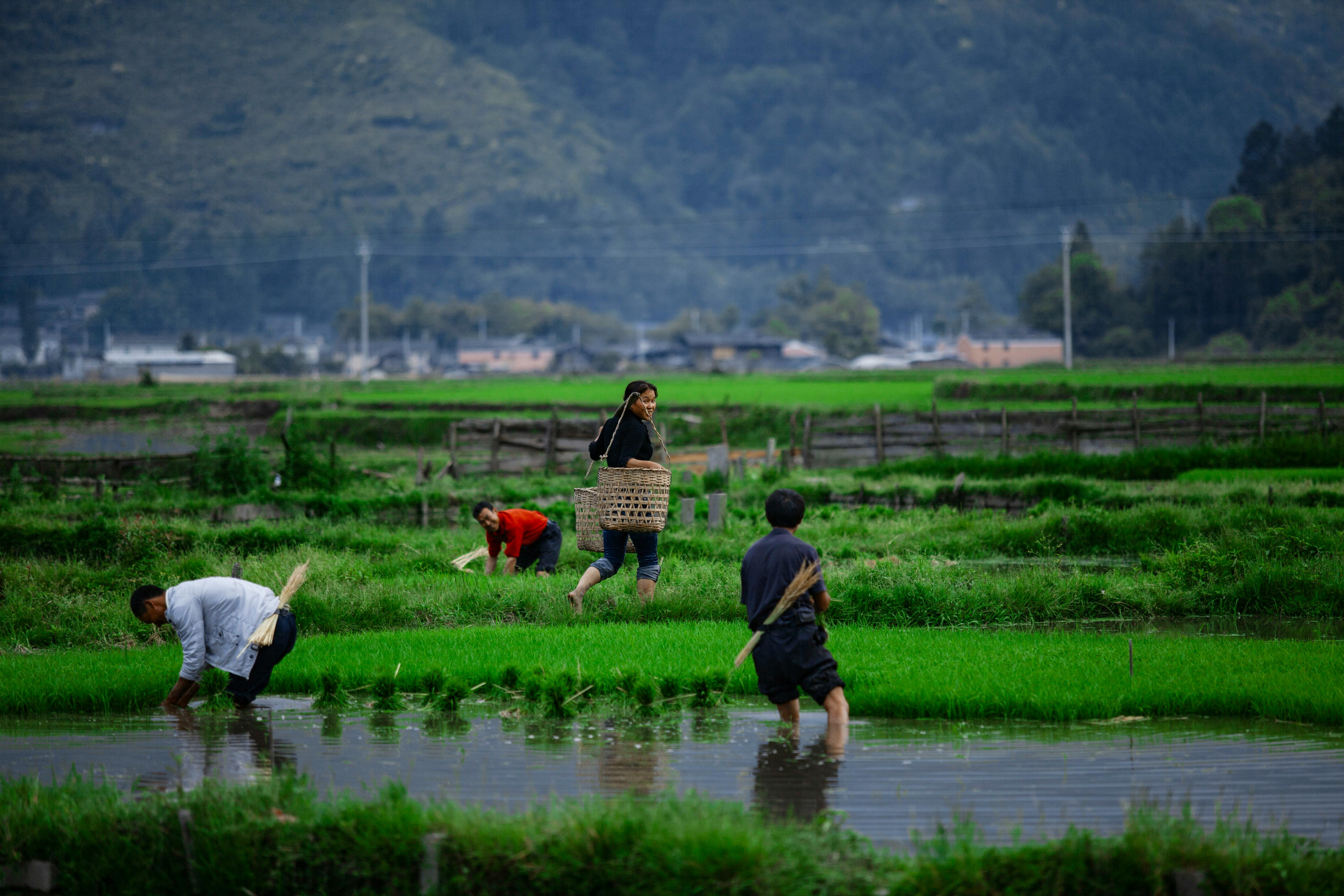Καριέρα για Εκτελεστικούς Επιθεωρητές Υγείας και Ασφάλειας στο Ηνωμένο Βασίλειο 2027