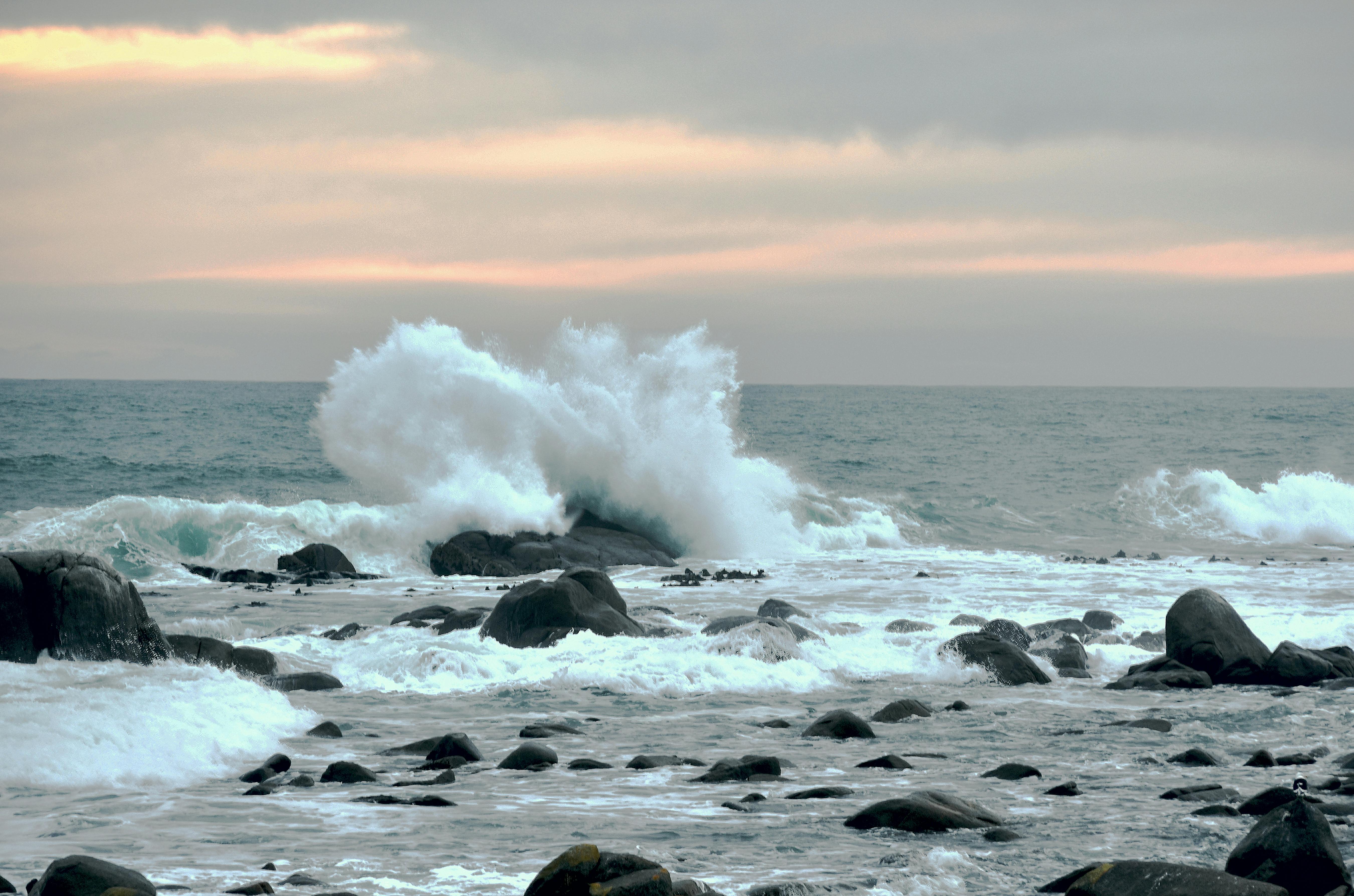 Free stock photo of ocean, surf, waves breaking