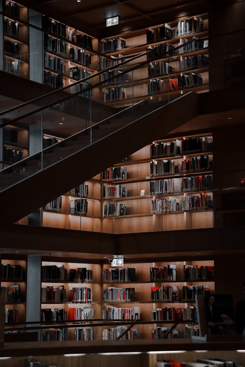 Foto d'estoc gratuïta de biblioteca, escales, interior