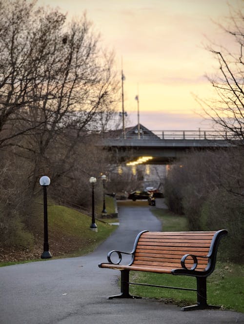 An Empty Wooden Bench Near Leafless Trees on the Street