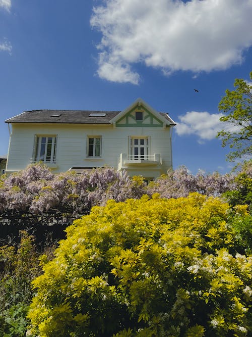 Kostnadsfri bild av anläggning, bungalow, fjäder