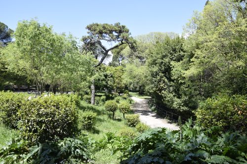 Free Scenic park view with a lush green pathway under a vibrant blue sky. Stock Photo