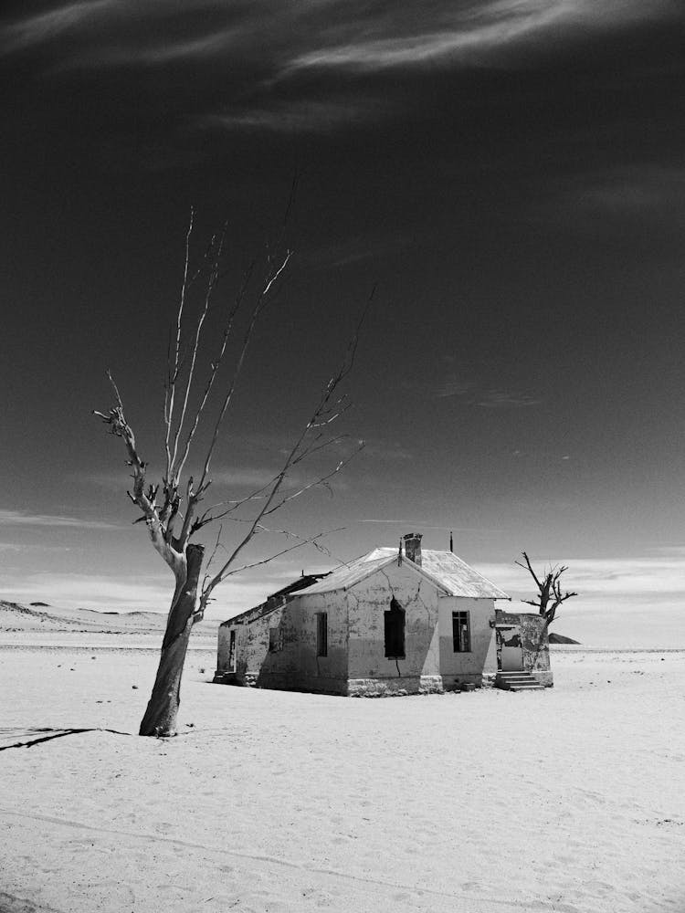 Abandoned House On A Desert 