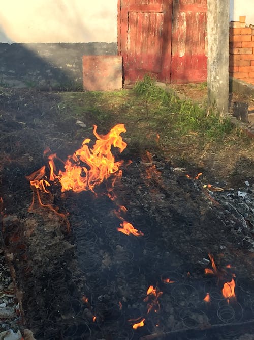 Gratis arkivbilde med brann, brenne