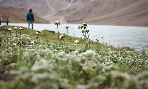 Man Standing Near the River