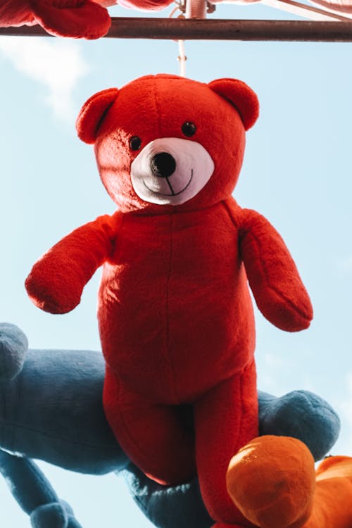 Foto stok gratis boneka beruang merah, boneka mainan, gantung