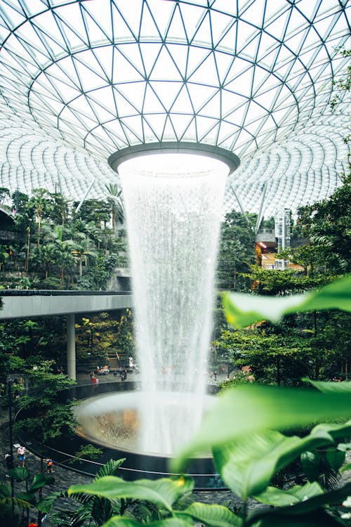 Majestic Fountain in Botanic Garden