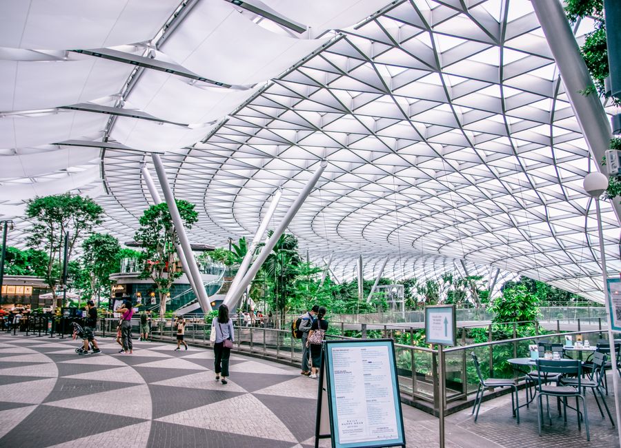 A stunning blend of modern architecture and lush greenery in an indoor airport garden.