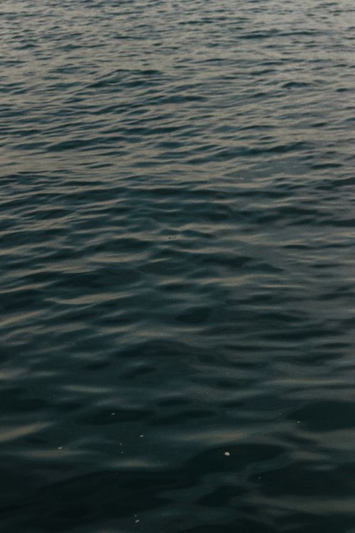 Free A serene view of calm water on the sea at twilight, perfect for tranquil themes. Stock Photo