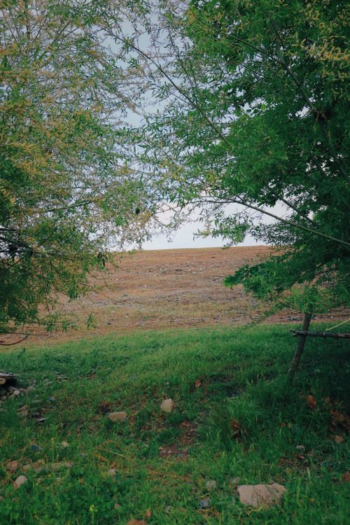 Free Peaceful rural scene featuring lush green trees and a grassy field. Stock Photo