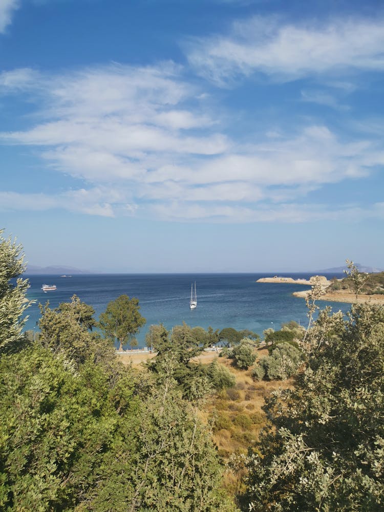 Landscape With Sea, Trees And Sky