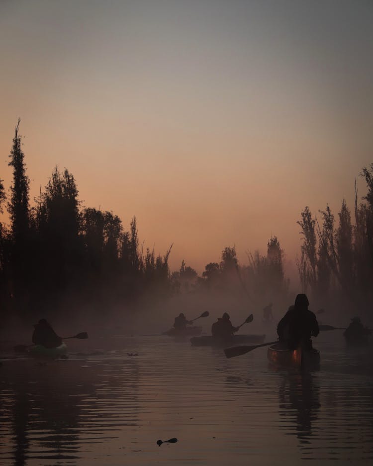 Silhouettes Of Kayakers Rowing Through River At Dusk