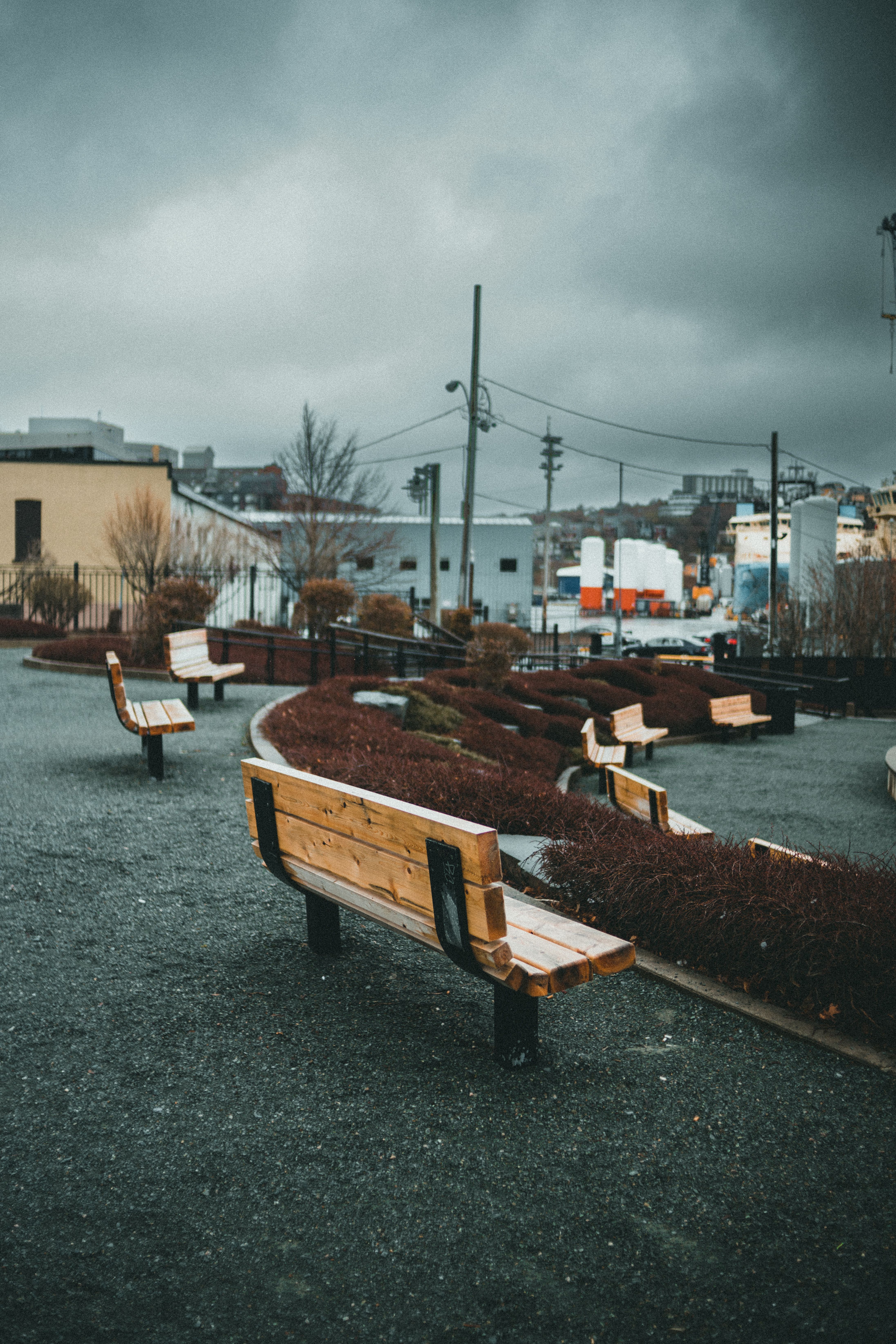 Empty Wooden Benches on a Public Park · Free Stock Photo