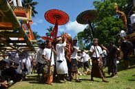 A group of balinese under two red umbrella carrying corpse in to crematory place