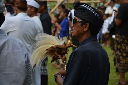Imagine de stoc gratuită din Bali, bărbat asiatic, ceremonie