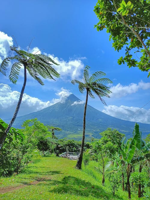 Δωρεάν στοκ φωτογραφιών με Mayon Volcano, βουνό, γραφικός