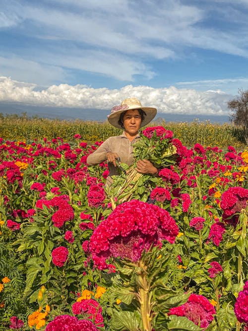 Woman in Brown Sun Hat Standing on Flower Field