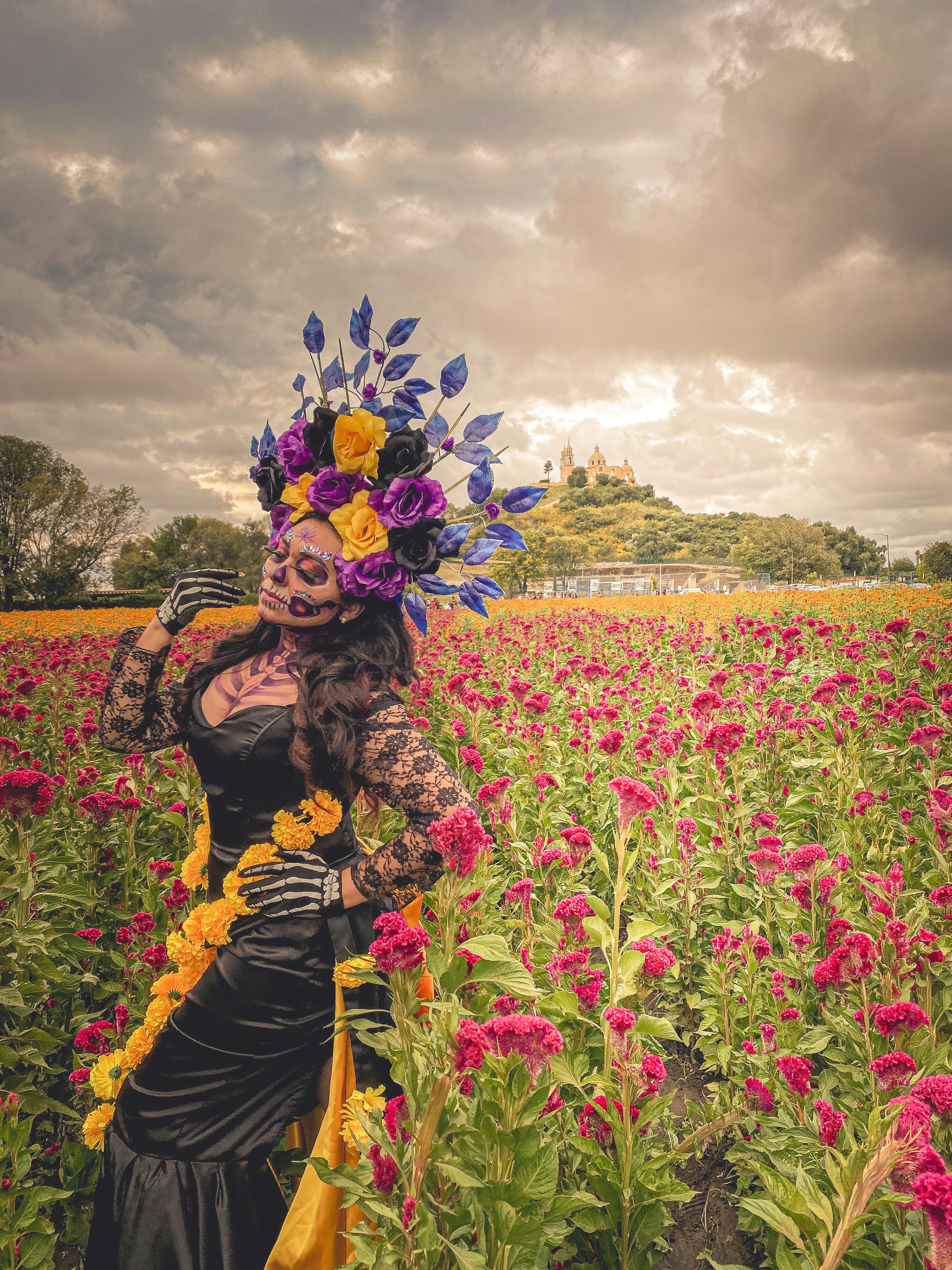 A Woman in Black Dress Standing Beside Red Flowers · Free Stock Photo