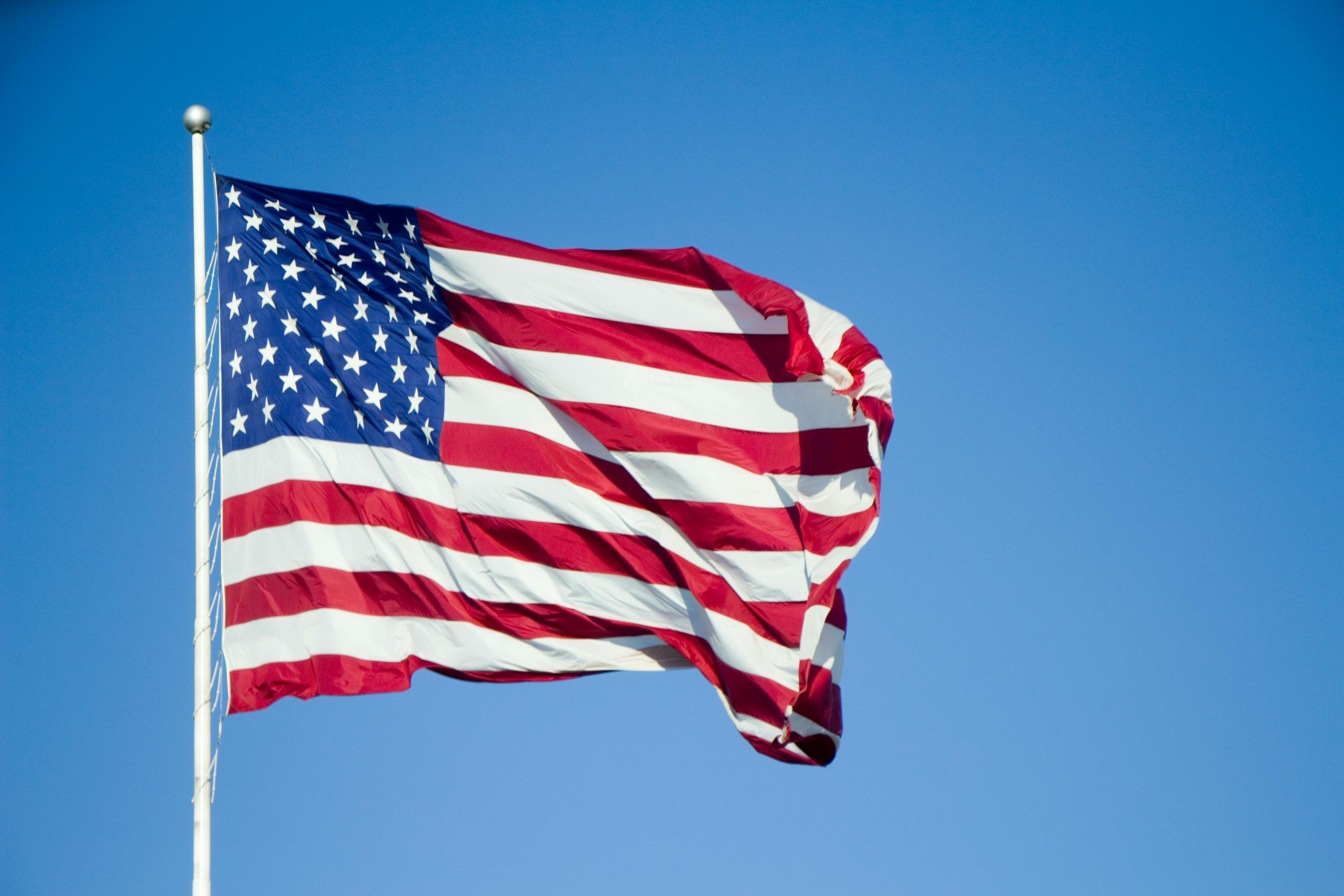 Free stock photo of america, country, flag