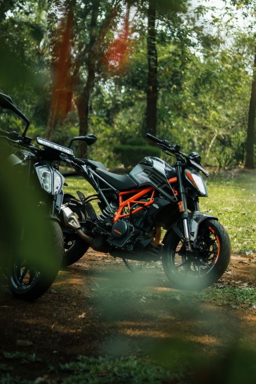 Free Two modern motorcycles parked in a scenic forest, showcasing their stylish design against vibrant greenery. Stock Photo
