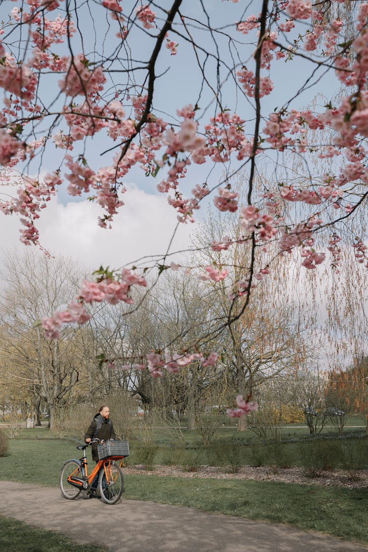 Photo Of A Man Pushing The Bike In A Park