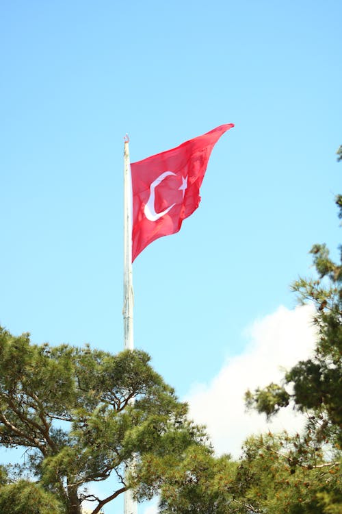 Photograph of the Turkey Flag