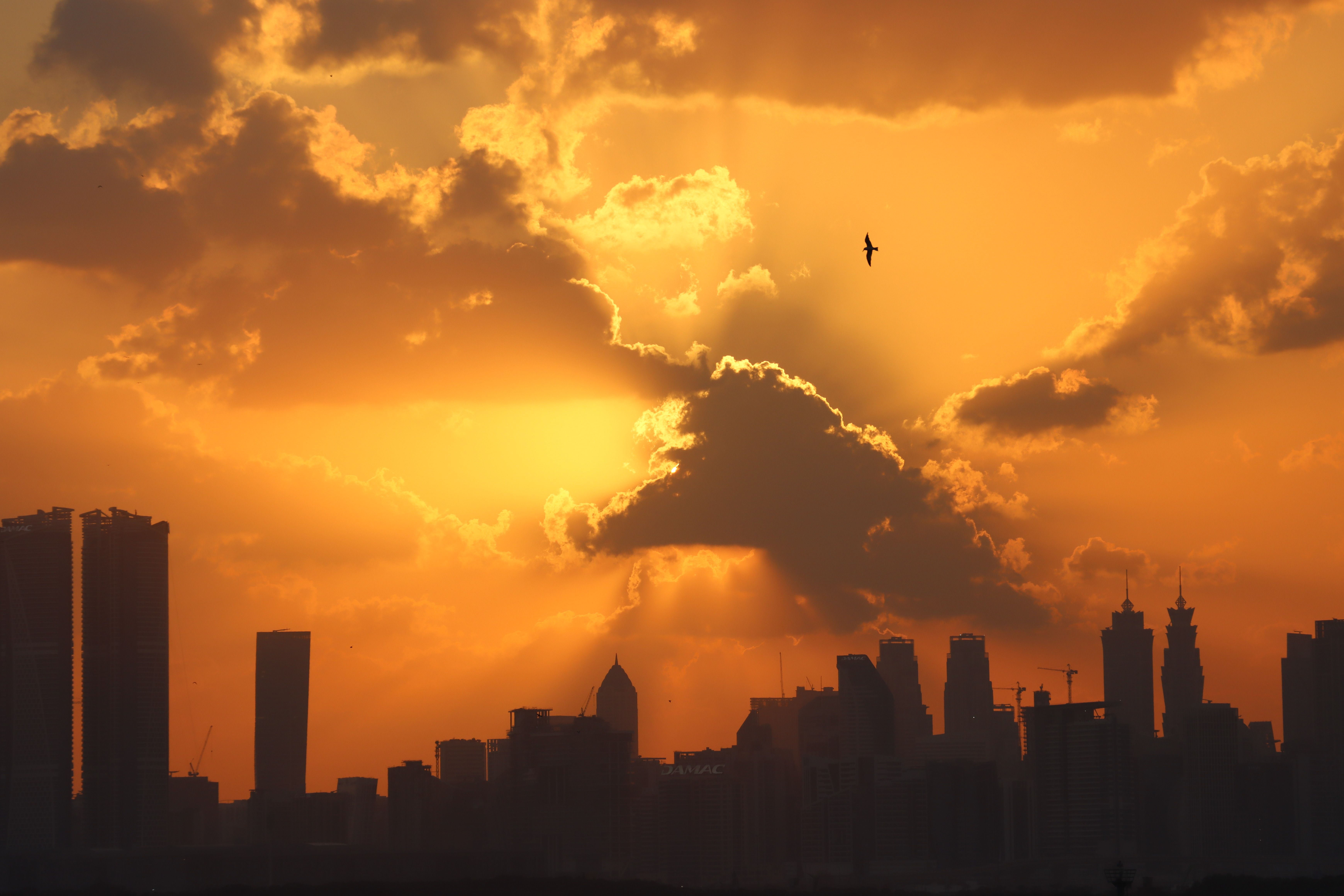 UAE Weather: Temperatures to Hit 42°C as Nighttime Humidity Rises