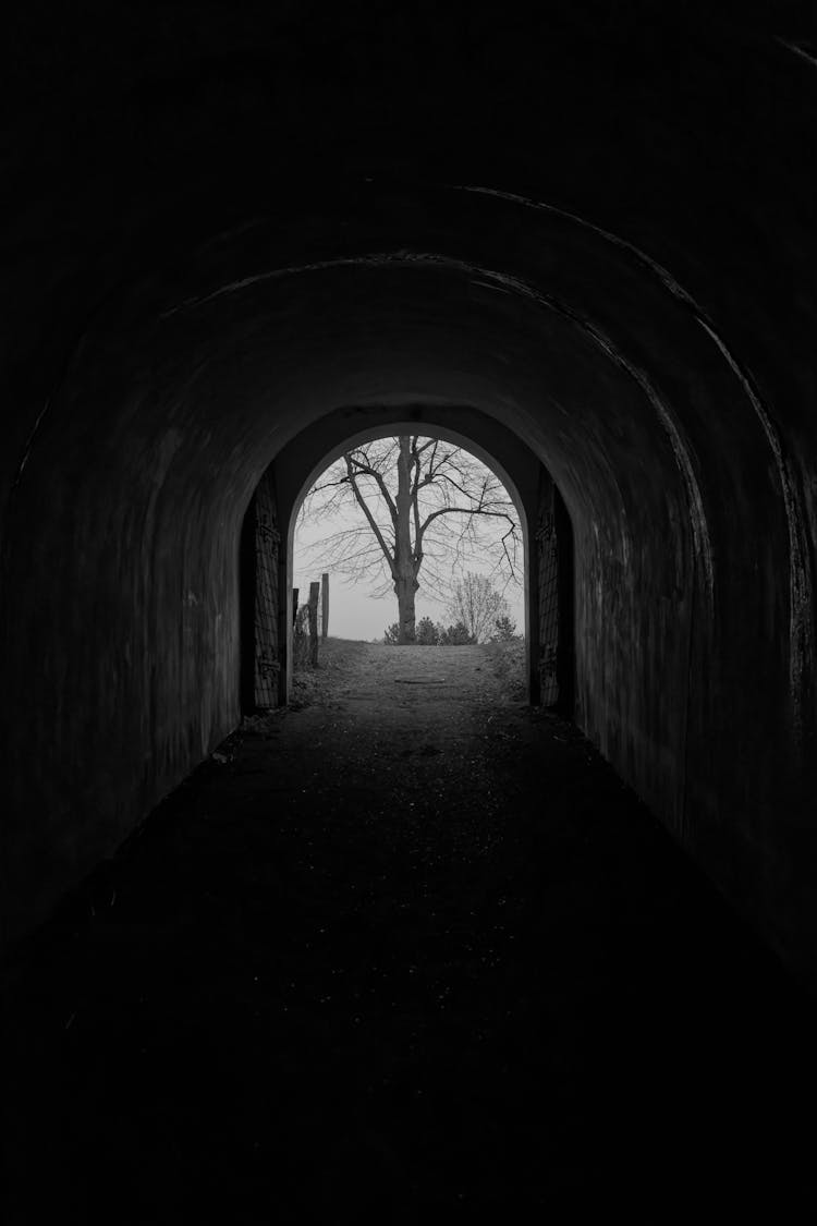 Monochrome Photo Of A Tunnel Leading To A Tree