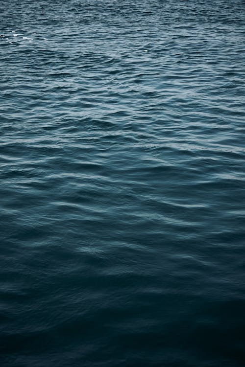 Foto stok gratis air, laut, lautan