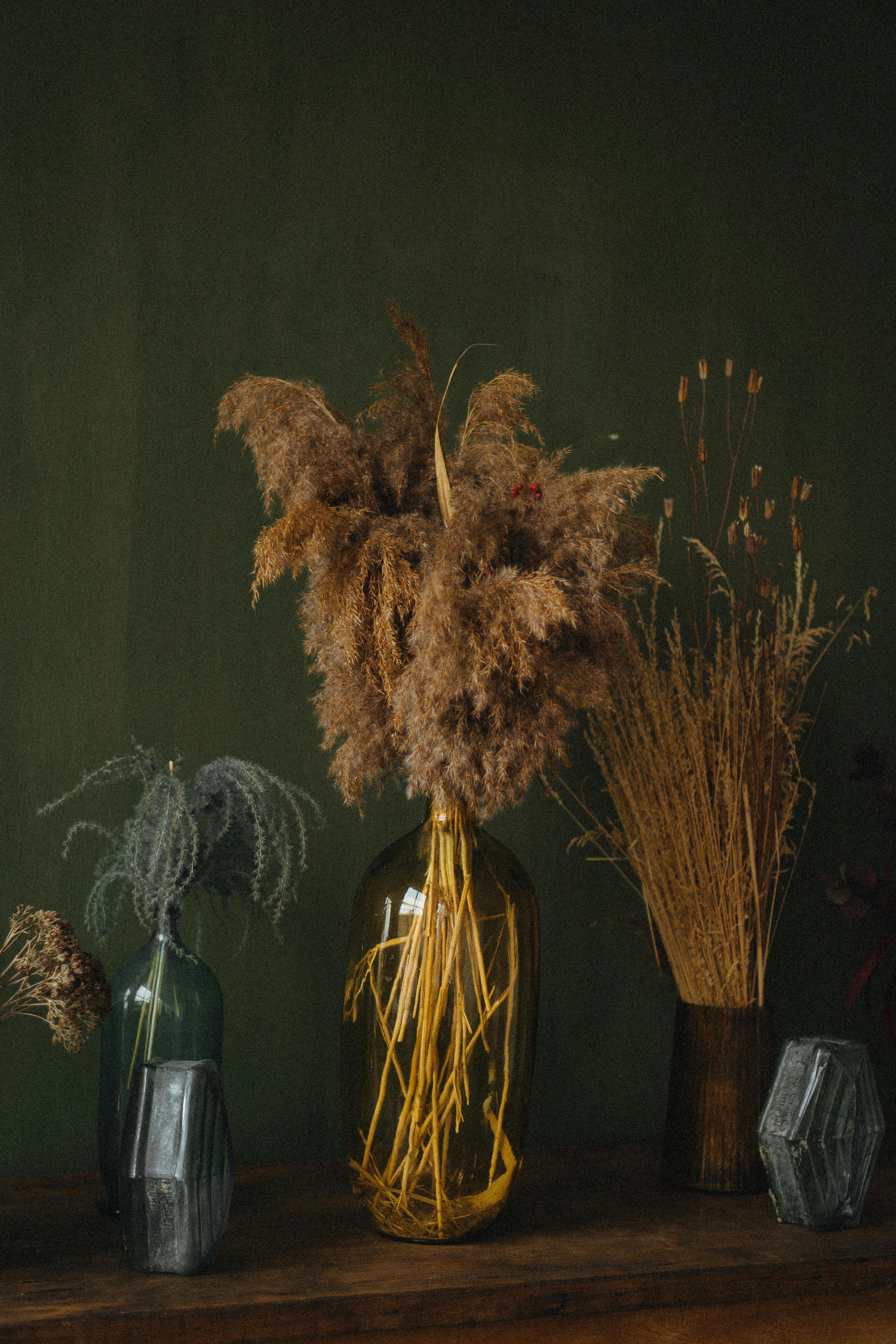 Dry floral arrangements in glass vases create a rustic interior ambiance against a dark green backdrop.