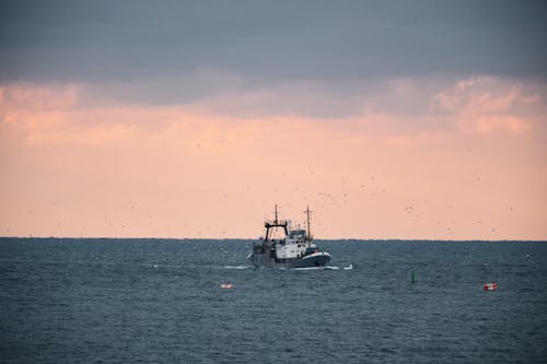 Foto d'estoc gratuïta de barca de pesca, embarcació d'aigua, foto des d'un dron