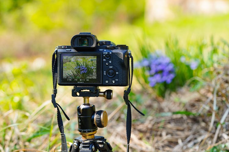 Black Dslr Camera On A Tripod