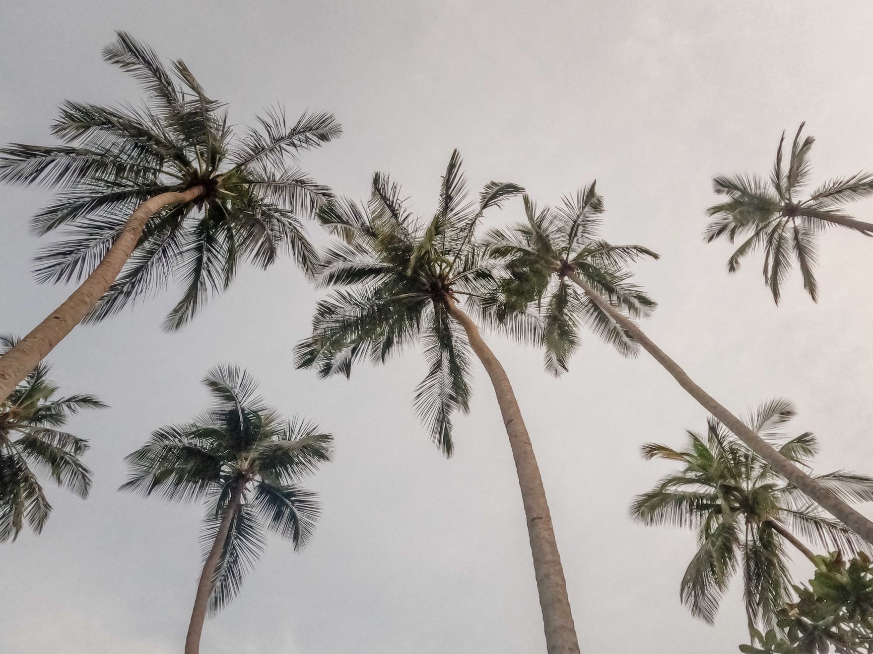 Unawatuna for Solo Travellers: Safety and Practical Tips