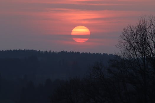Stunning sunset with dramatic sky and silhouetted trees, creating a serene twilight view.